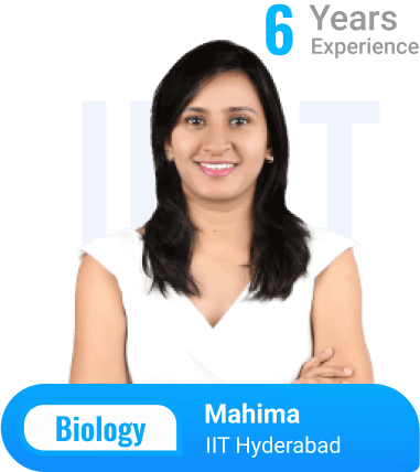 Physics teacher, Mahima