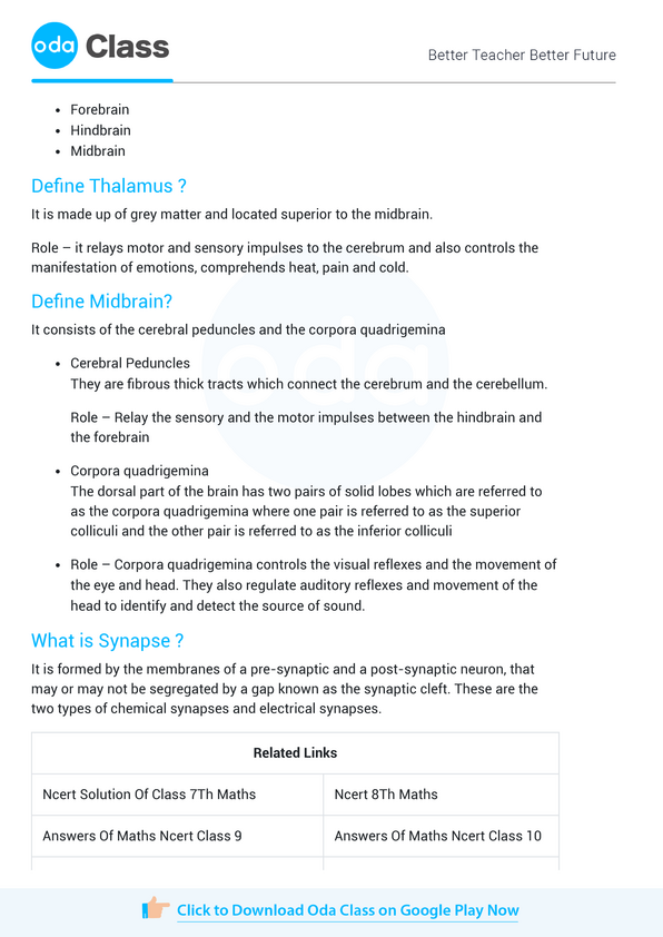 NCERT Solutions for Class 11 Biology Chapter 20